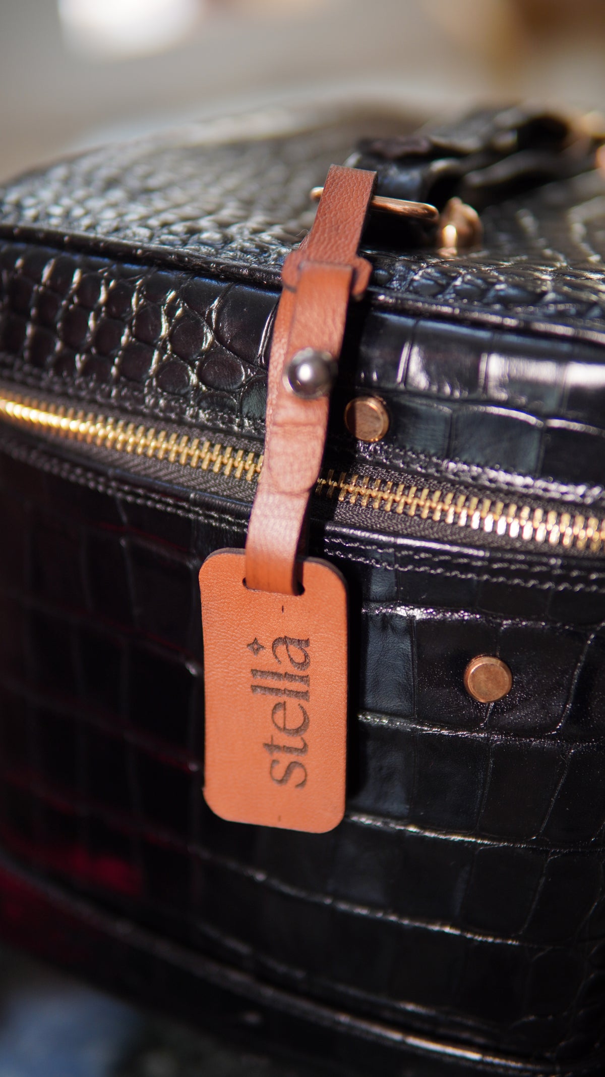 Midnight Vanity Case