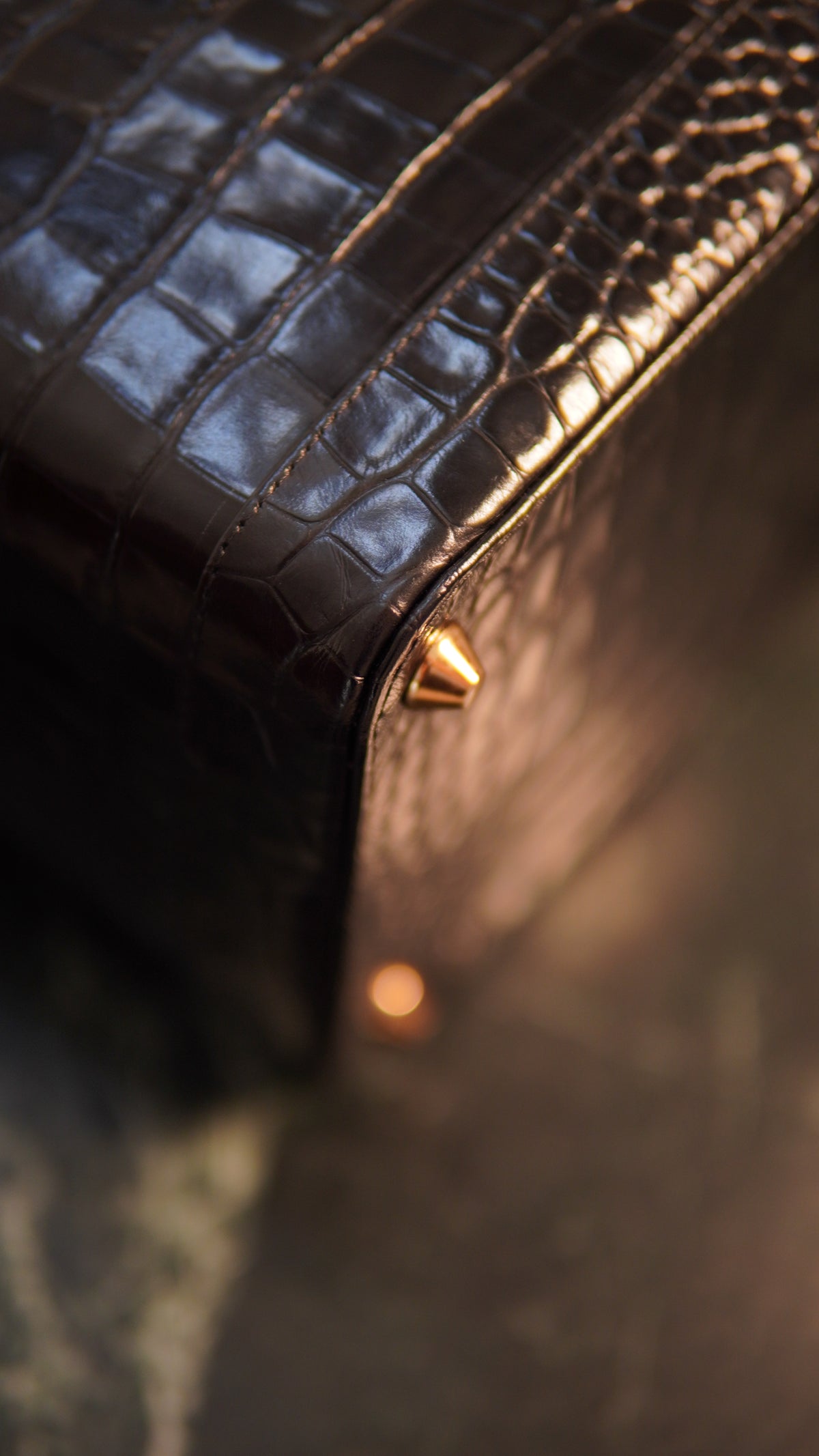Midnight Vanity Case