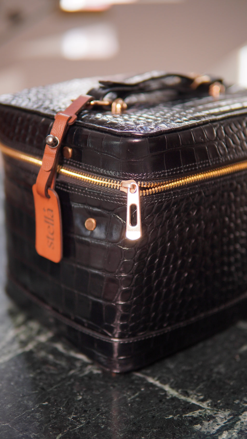 Midnight Vanity Case