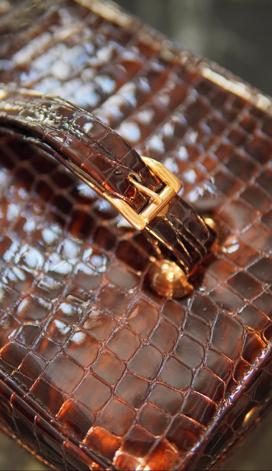 HoneyBee Vanity Case